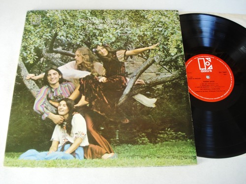 The incredible string band - the,