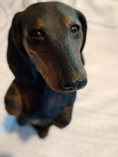 Dashund Sitting Dog
