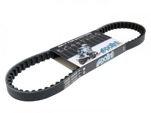 Belt polini speed for - speed,