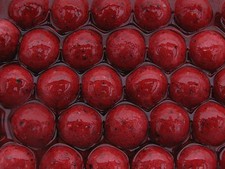 Fishing Bait Boilies Robin Red Flavour in Dip 16mm Red Carp Boilies in Glug