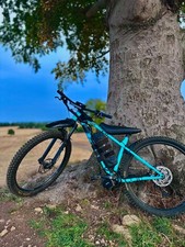 52v Custom built Trek Roscoe