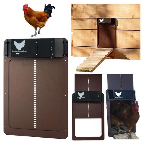 Automatic chicken coop door - chicken,