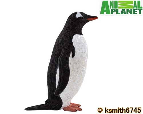 Mojo animal planet gentoo - mojo,