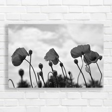 Red Poppy Floral Moody Sky