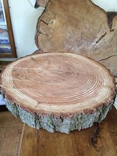 18" Rustic Log slice, ring