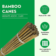 Bamboo Canes for Garden Plant