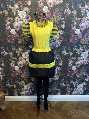 Adult fancy dress one size - fancy,