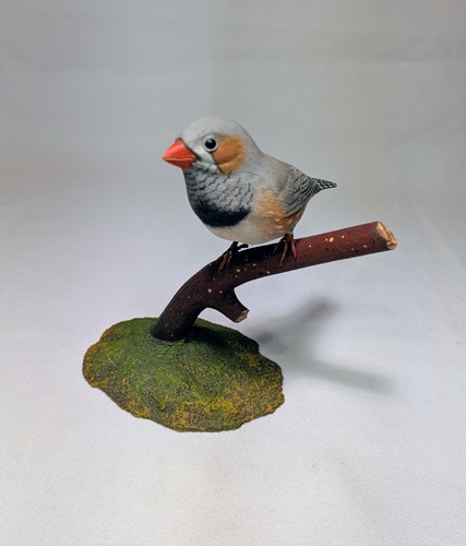 Zebra finch original bird - zebra,