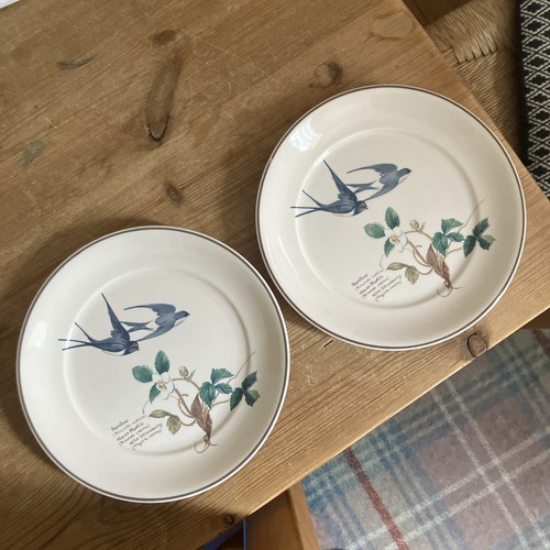 Plates country diary of - plates,