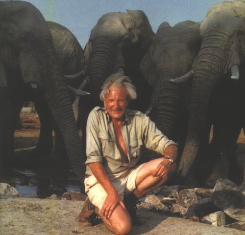 David shepherd artist - shepherd:, in