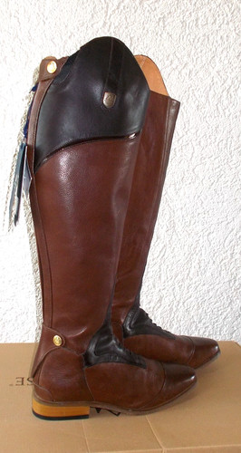 Mountain horse sovereign - mountain,