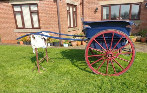 Governess cart