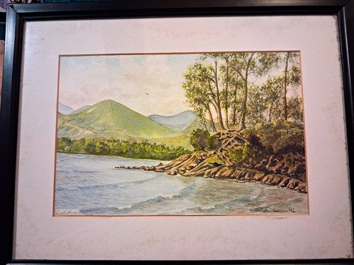 Signed 1996 johnson - signed,