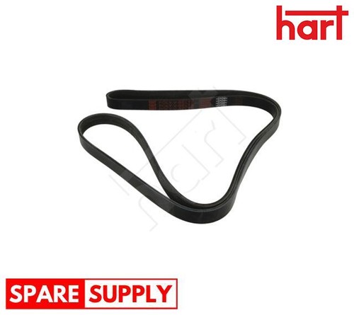 Ribbed belt for - belt,