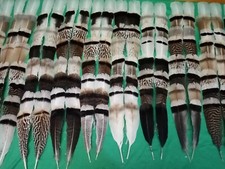 8 Pairs Turkey Feathers, Tail Feathers, Fly Tying Materials, Natural Feathers