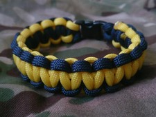 The Queens Own Yeomanry