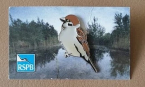 Rspb pin badge - pin, special
