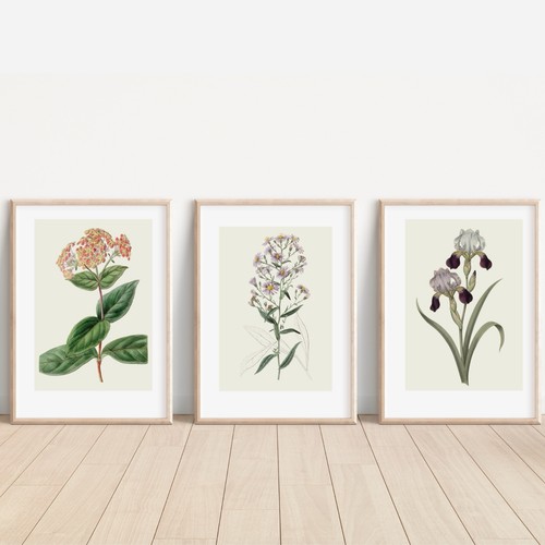 Set antique inspired - of,