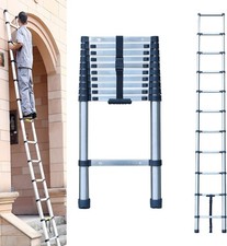 10-foot Telescopic Ladder