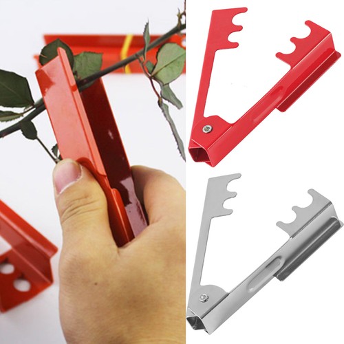 Rose thorn remover flower - thorn,