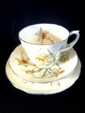 Crown Staffordshire Daffodil