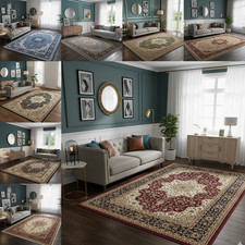 ROME Traditional Area Rugs –