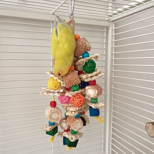 Chewing toy bird cage - chewing,