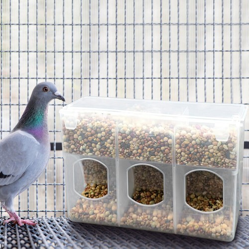 Quail feeder - quail,