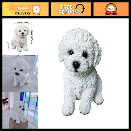 Bichon frise maltese - bichon, dog