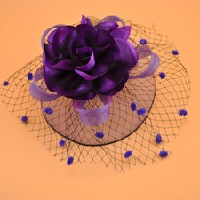 Mesh Wedding Feather Hair Hat Fascinator Royal Ascot Formal Flower Headband Clip