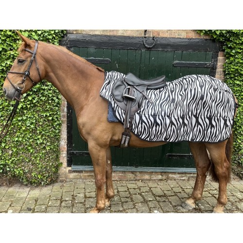 Ruggles ride mesh fly - ruggles,