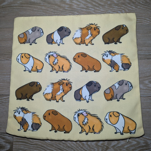 Guinea pig novelty cushion - guinea,