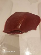 Liver prosthetic prop for