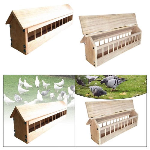 Pigeon feeder trough wood - trough,