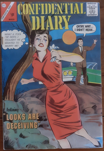 Confidential diary 17 - diary, #17