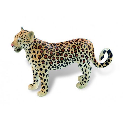 Wild animal toy figurines from - wild,