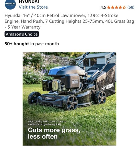 Hyundai 40cm petrol - 40cm,