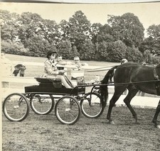 Vintage Photo Girl Driving