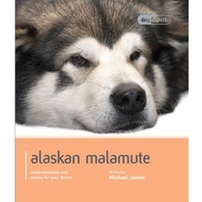 Alaskan Malamute - Dog Expert