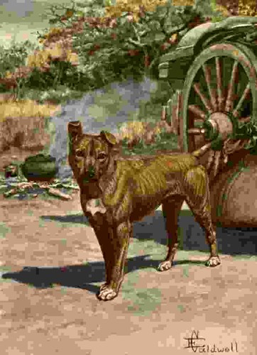 Photo caldwell edmund 1852 - edmund,