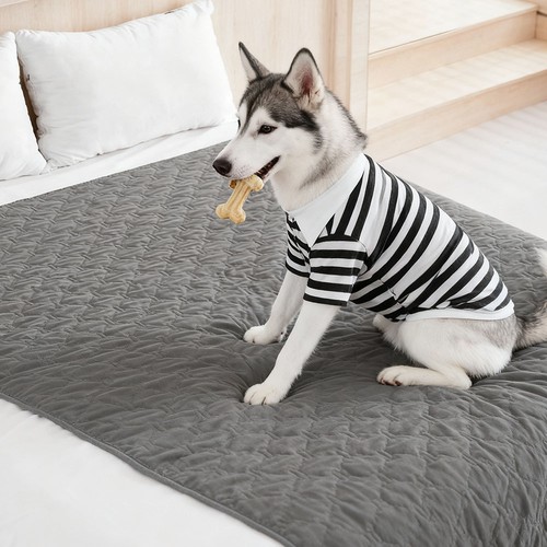 Waterproof pet blanket dog - dog, bed