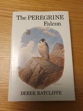 The Peregrine Falcon by Derek