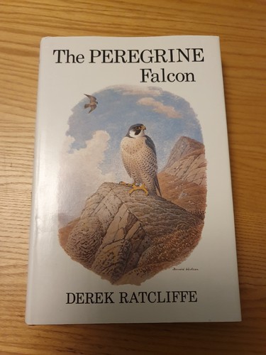 The peregrine falcon - the,