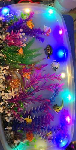 Fish tank table top - tank,