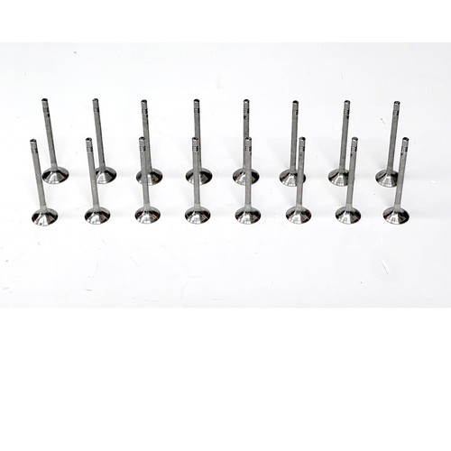 Engine valves for - for, vw