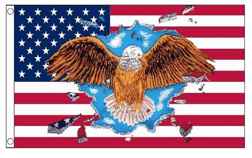 Usa eagle feet flag - feet,