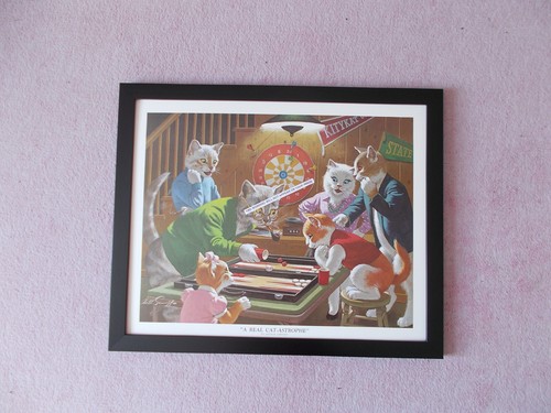 Real cat astrophe framed - real,