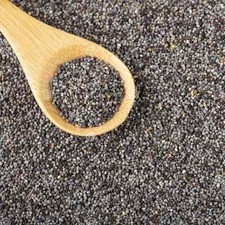 P. Somniferum Giganteum Poppy