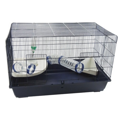 Rat syrian hamster - syrian, cage