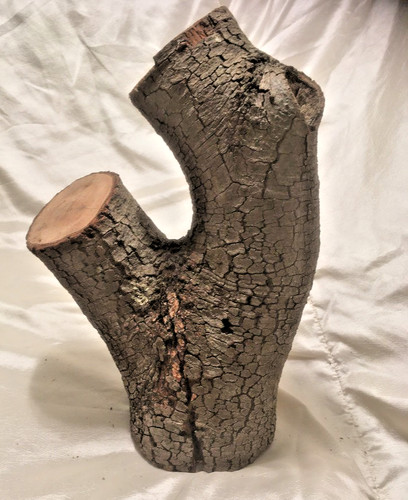 Holm oak wood log blank - oak,